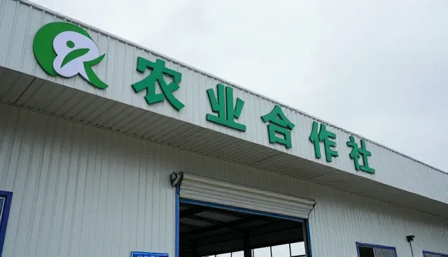 农业发展如何利用农机服务提升价值